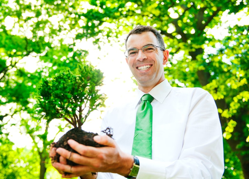 Why Choose Tree Service Providers